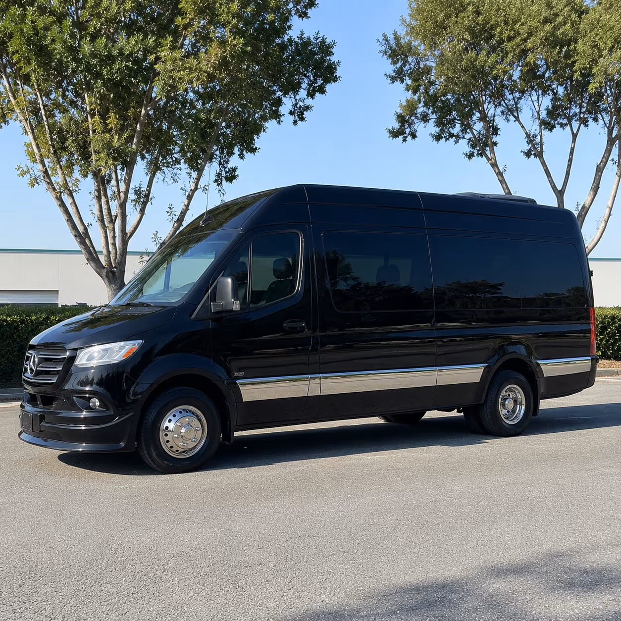 find the perfect transportation for your next birthday 5
