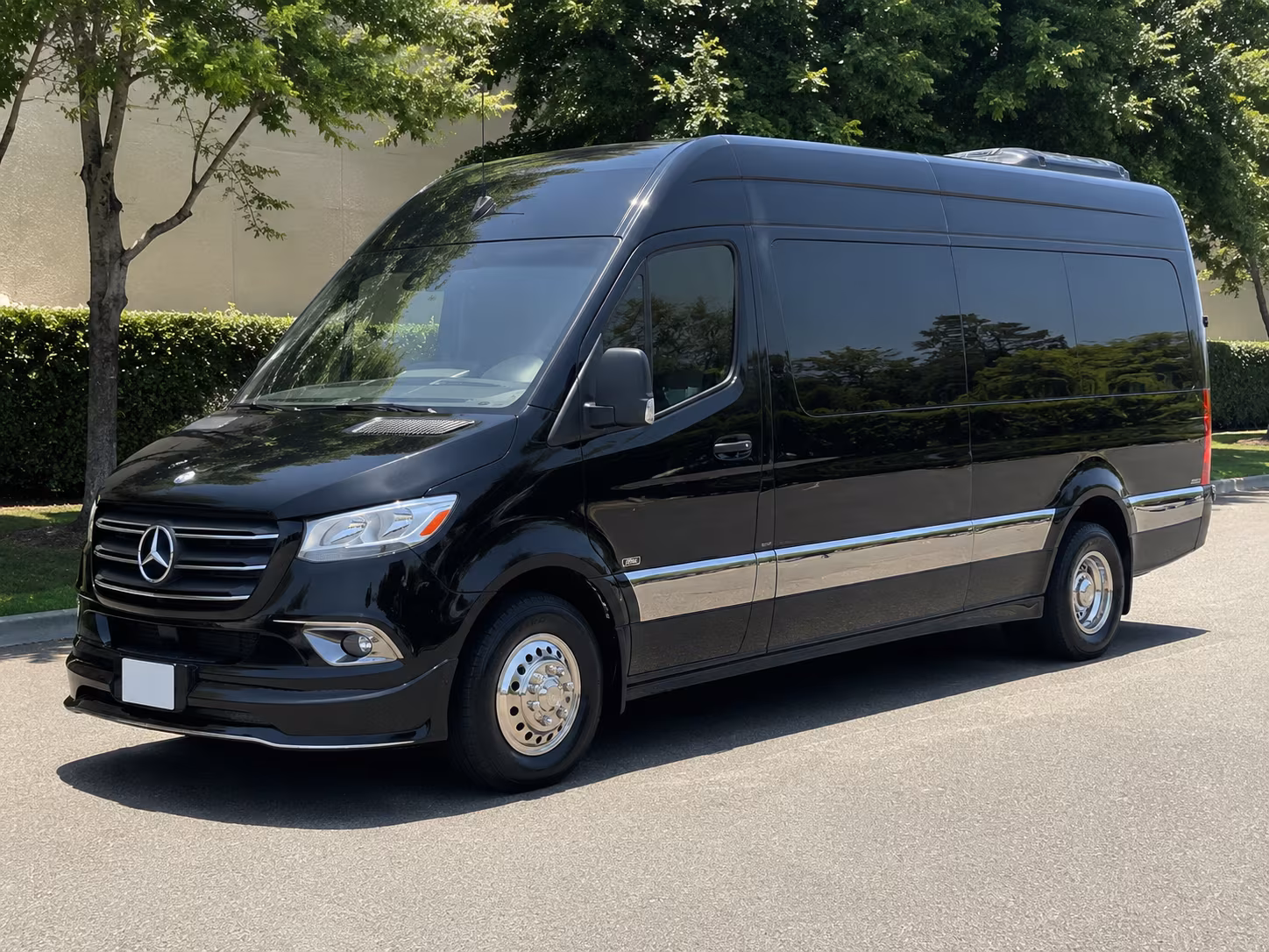 hialeah 12 passenger sprinter van